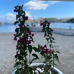 ονειρόπετρα λέρος~oneiropetra Leros Lejlighed Panteli