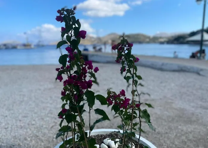 ονειρόπετρα λέρος~oneiropetra Leros Apartamento Panteli
