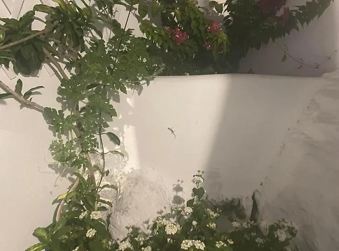 Apartamento ονειρόπετρα λέρος~oneiropetra Leros *